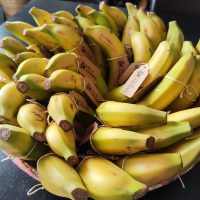 catering-desayunos-madrid